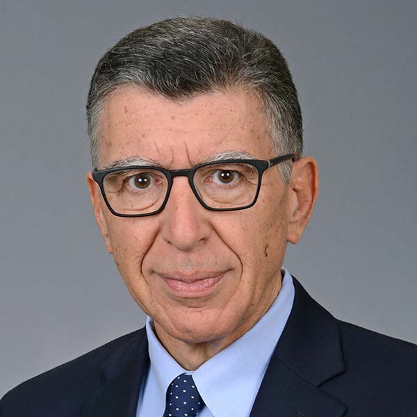 Prof. Dimitris N. Tatakis